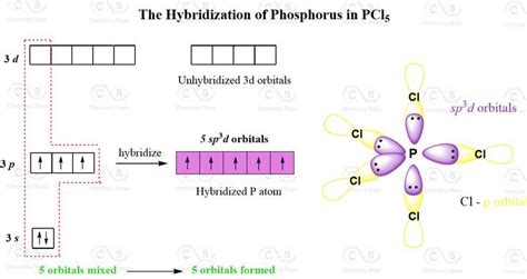 The sp3d Hybridization and Trigonal Bipyramidal Geometry | Molecular geometry, Chemistry, Geometry