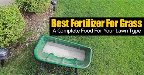 Homemade Grass Fertilizer Recipe – Besto Blog