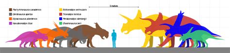 Chasmosaurus | Paleontology World