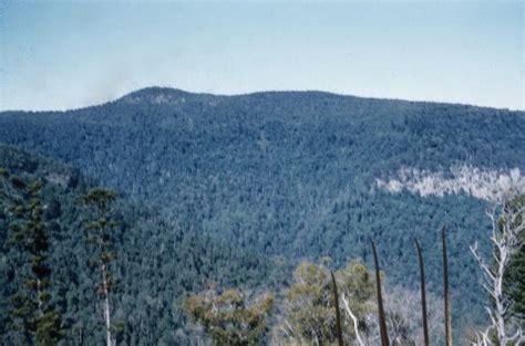 Scenic Rim Regional Council | Queensland Places