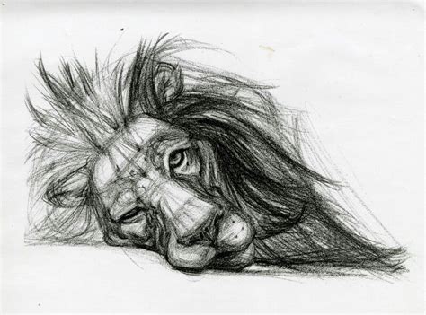 Pin by CELIA RIVERA on KENNER'S BOARD | Pencil drawings of animals ...