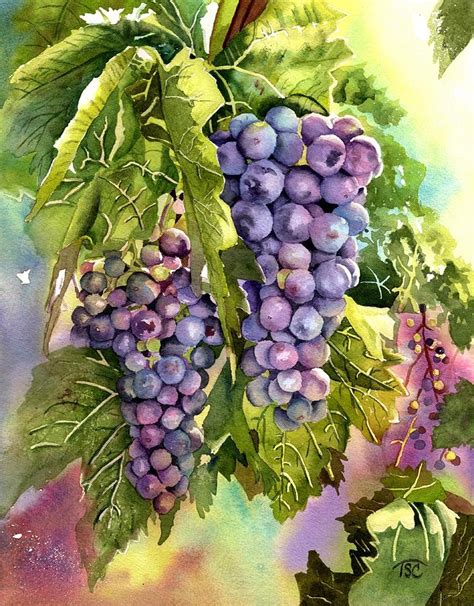 Grapes Painting by Tammy Crawford - Pixels