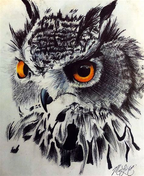 Awesome Owl Drawings