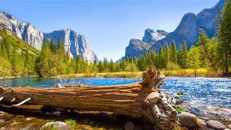 5 Must Visit National Parks Near Los Angeles