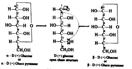 Write the cyclic structure of glucose.