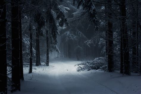 Dark Winter Forest Background Hd - Enjoy and share your favorite beautiful hd wallpapers and ...