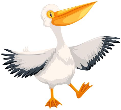 Pelican character on white background 302649 Vector Art at Vecteezy