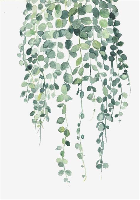 aesthetic vine background | rachael in 2020 | Watercolor wall art, Plant painting, Watercolor plants