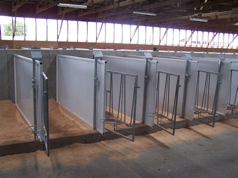 Calf Pens and Diary Calf Housing: Design, Mfg, Installation | Calves, Dairy cattle, Goat shed