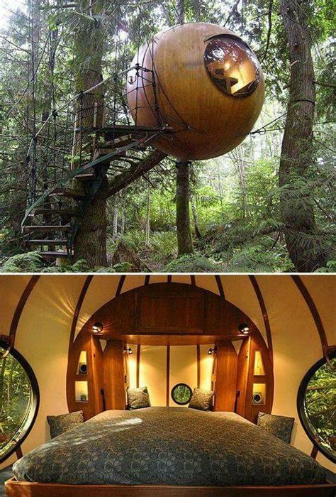 Wonderful bedroom in a treehouse | Cool tree houses, Tree house designs, Luxury tree houses