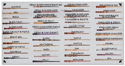 STEP ONE: CHOOSE A WOOD | Harry potter wand, Wand woods, Wands