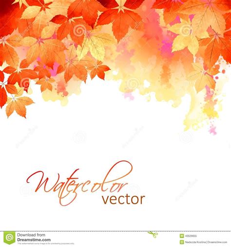 watercolor fall leaves border - Google Search | Autumn leaves, Leaf silhouette, Leaves vector