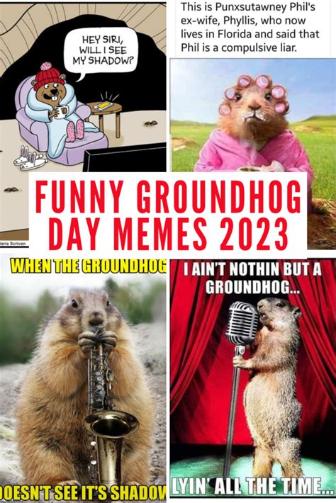 The Funniest 2023 Groundhog Day Memes to Share - Lola Lambchops