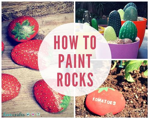 How to Paint Rocks This Summer | FaveCrafts.com