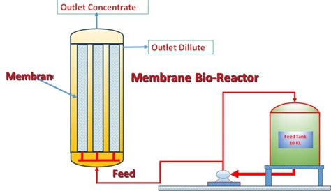 Membrane Bioreactor - Working, Design, Types, Parts, Specification (pdf ...