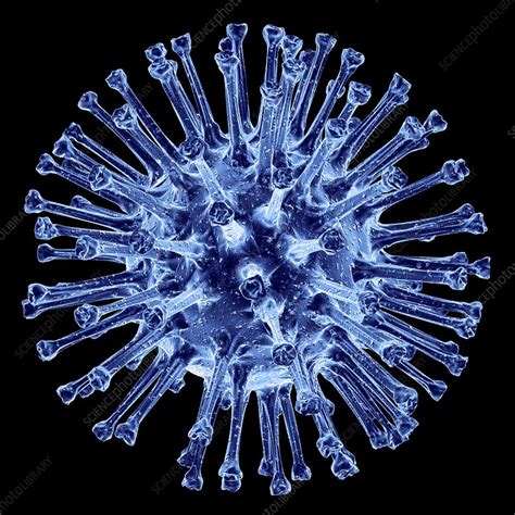 H1N1 flu virus particle, artwork - Stock Image - C001/9143 - Science Photo Library