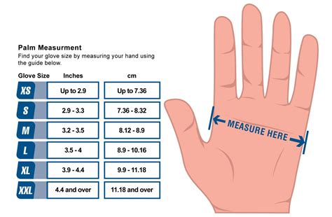 Ammex Nitrile Gloves Size Chart - Images Gloves and Descriptions Nightuplife.Com