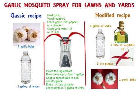 Homemade mosquito yard spray is cheap, effective and easy-to-do