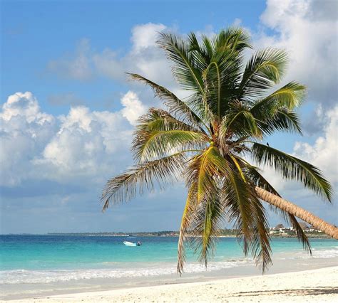 Playa Paraiso (Tulum) - 2021 All You Need to Know BEFORE You Go | Tours & Tickets (with Photos ...