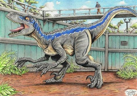 34 best BLUE the velociraptor images on Pinterest | Dinosaurs, Jurassic ...