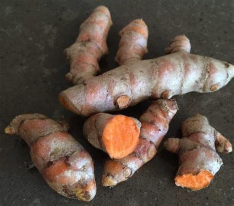 Curcuma longa - Turmeric (plant) | Herbalistics