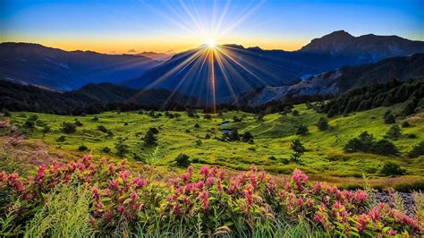 Mountains, meadow, sunrise, flowers, beautiful scenery wallpaper | nature and landscape ...