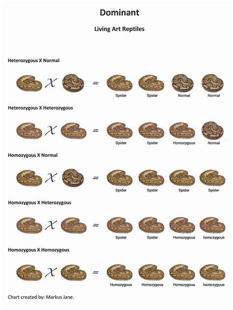 Ball Python Morph Breeding Chart