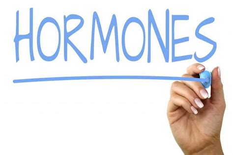 Hormones, Health And Behavior - IRON FIT