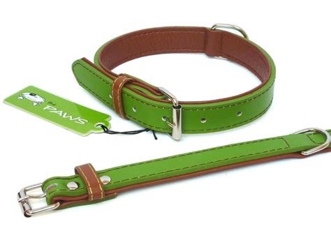 Eccentric Green Dog Collars - Chelsea Dogs Blog