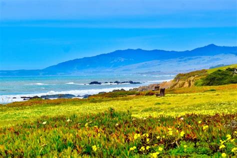 Cambria Weather & Seasons | Cambria Vacation Rentals