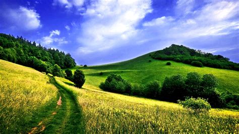 Summer Fields Wallpapers - Wallpaper Cave