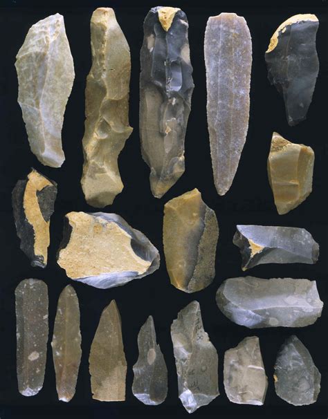 Paleolithic Weapons