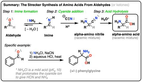 The Strecker Synthesis of Amino Acids – Master Organic Chemistry