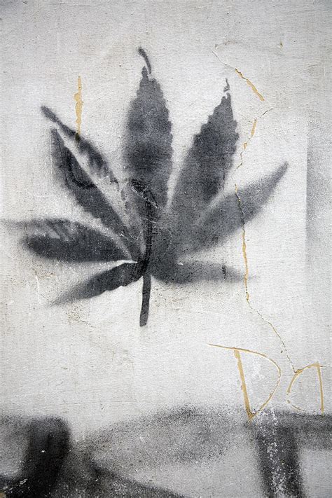 Graffiti Of A Marijuana Leaf Photograph by David Evans