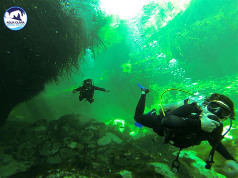 Agua Clara Diving Tulum | Discover Scuba Diving Tulum