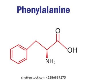 Phenylalanine Amino Acid Formula Structure Chemical Stock Vector (Royalty Free) 2286889275 ...