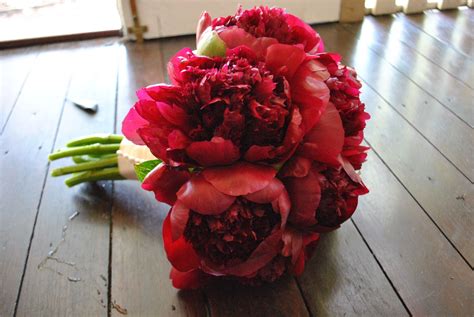 Alternative to my simple red local tulip bouquet - red charm peonies ...