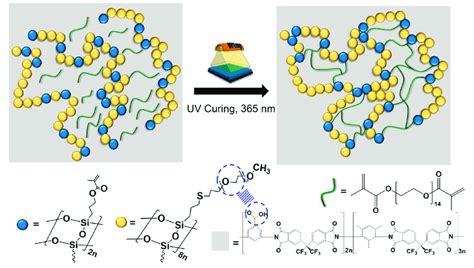 Schematic of UV curing process for hybrid composite and interactions ...