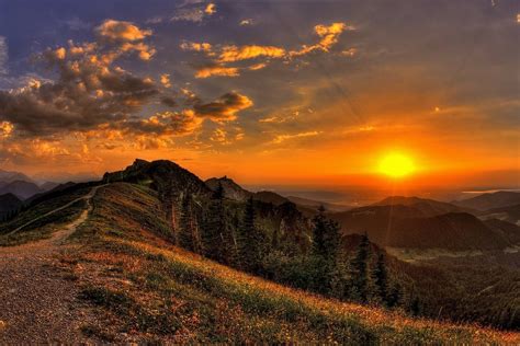 Download Horizon Sun Path Tree Mountain Nature Sunset HD Wallpaper