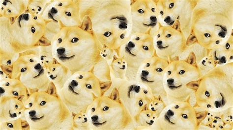 Doge Meme Wallpapers - Wallpaper Cave