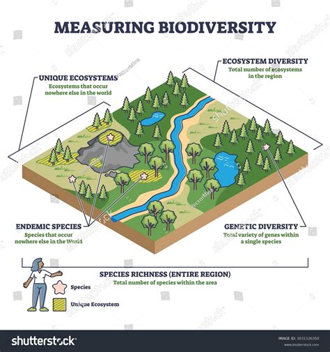 Diversity Ecosystem Images: Browse 21,682 Stock Photos & Vectors Free Download with Trial ...