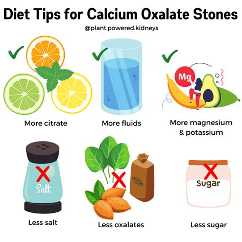 10 Tips to Prevent Kidney Stones Naturally