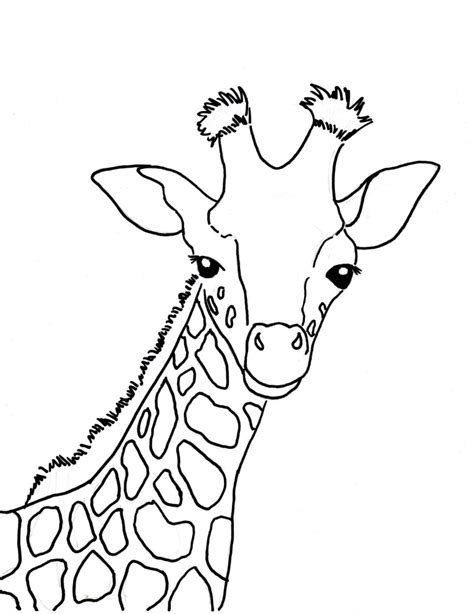 Baby Giraffe Coloring Page - Samantha Bell