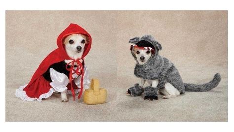 Little Red Riding Hood & Big Bad Wolf Costumes for Dogs - Halloween Dog ...