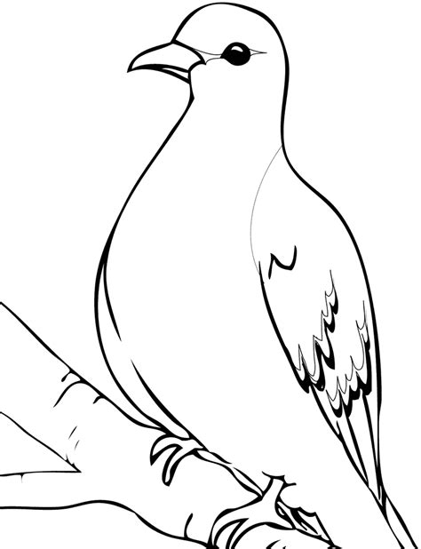 Dove Coloring Pages – Printable Coloring Pages