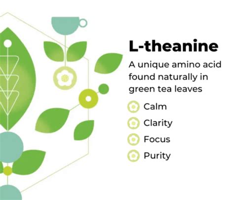 What is L-theanine? Here’s everything you need to know!