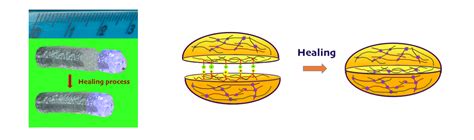 Self-healing hydrogels | Milan Polymer Days