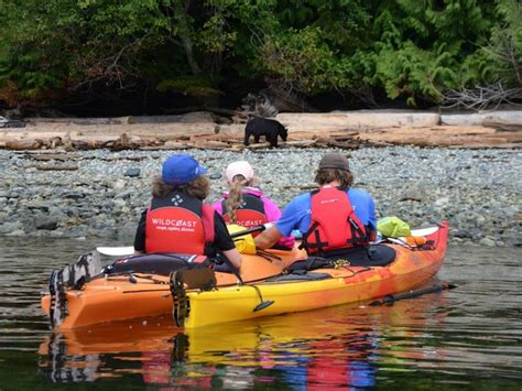 Kayaking with Orcas 202 Tours in Johnstone Strait Vancouver Island