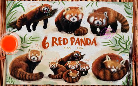 Red Panda Watercolor Illustration By Shark&Croc co. | TheHungryJPEG