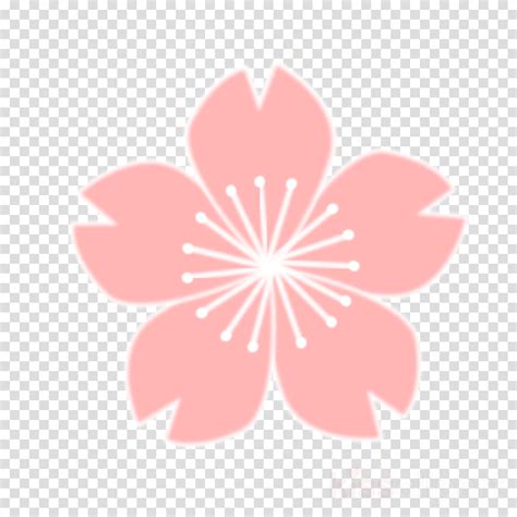 Sakura Png Clipart Cherry Blossom Clip Art - Sakura Flower Drawing Png , Transparent Cartoon ...